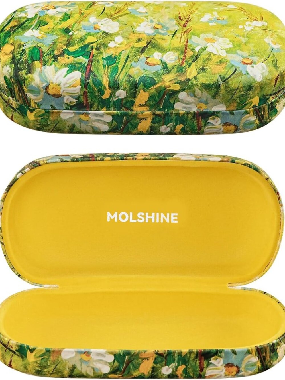 Hard Shell Sunglasses Case,Classic Large Glasses Case for Women Men,Sunglass Eye